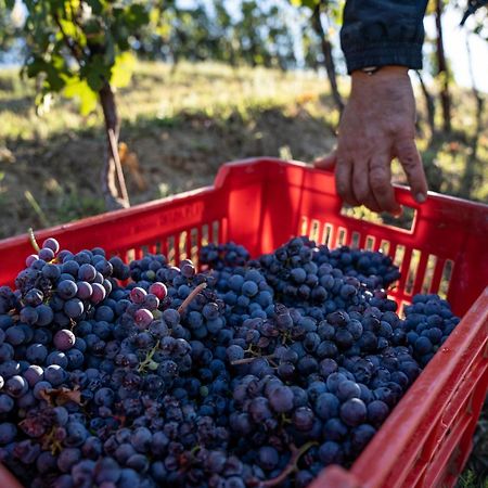 Agriturismo Antichi Poderi Gallina Neive Esterno foto