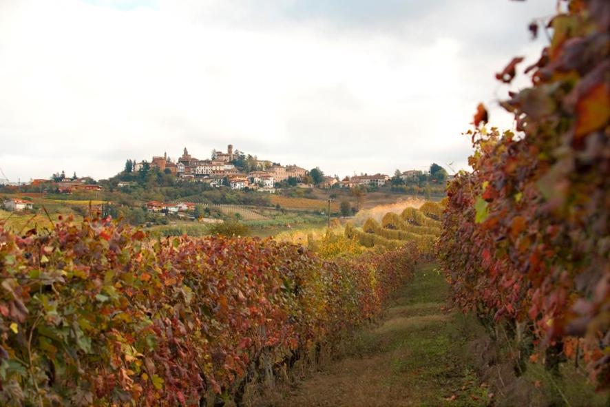 Agriturismo Antichi Poderi Gallina Neive Esterno foto